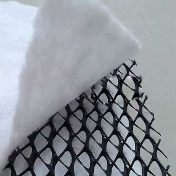 Геонет