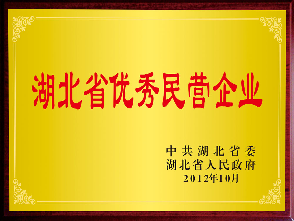 湖北省优秀民营企业 湖北省优秀民营企业