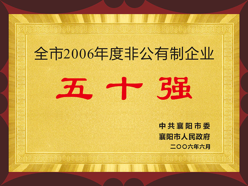 全市2006年度非公有制企业五十强 全市2006年度非公有制企业五十强