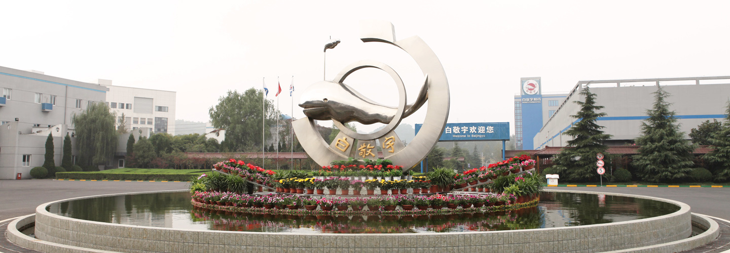 南京白敬宇制药有限责任公司