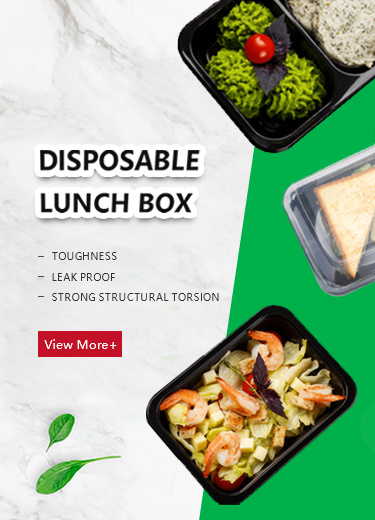 Disposable Lunch Box