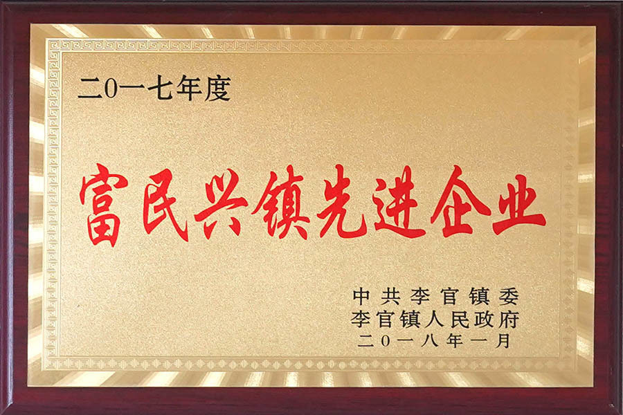 Advanced Enterprise in Fuminxing Town Advanced Enterprise in Fuminxing Town