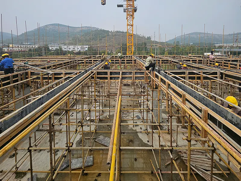 Dongping Rural Revitalization Industrial Park Dongping Rural Revitalization Industrial Park