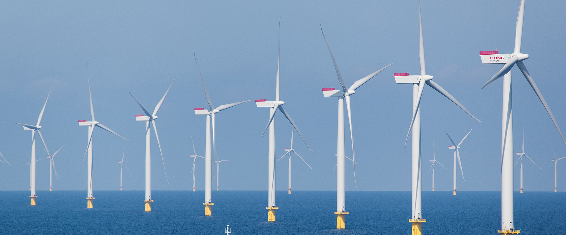 Offshore Wind Farm Protection