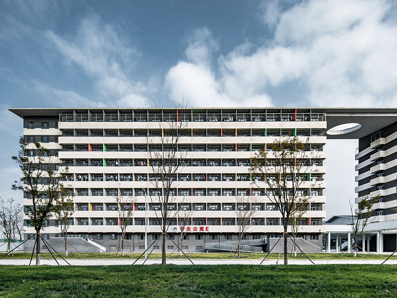 宏利佳學校（9）