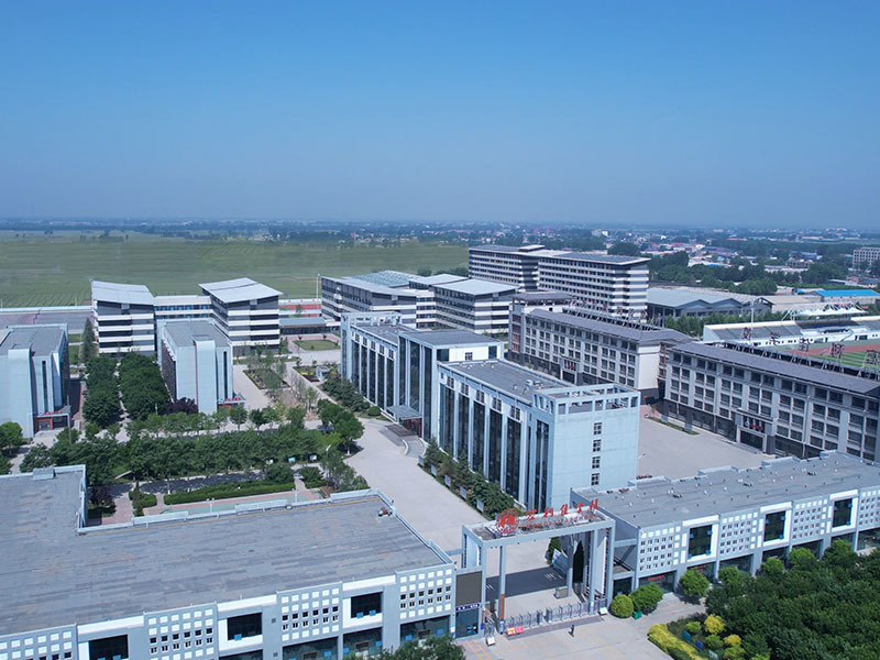 宏利佳學校（10）
