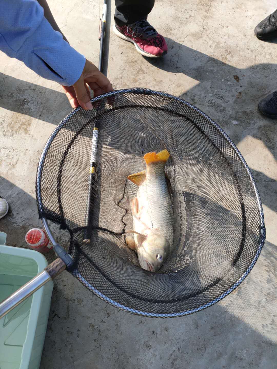 潤澤湖垂釣活動
