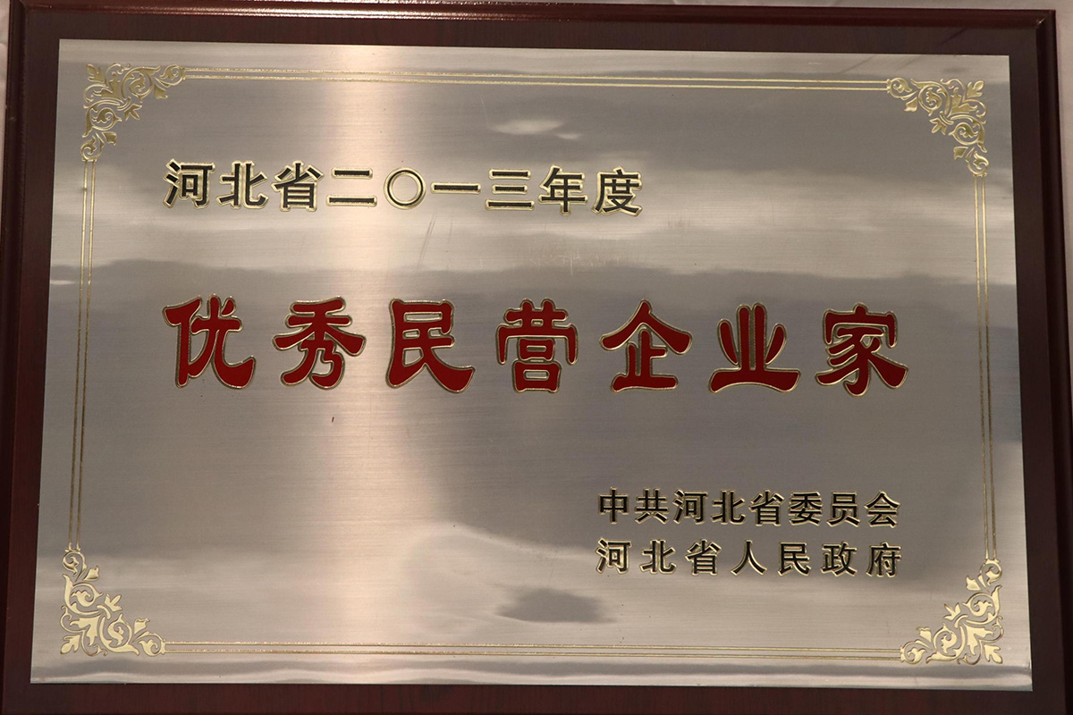 優(yōu)秀民營(yíng)企業(yè)家