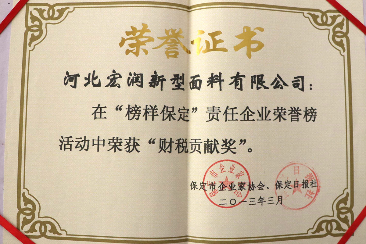 榜樣保定財(cái)稅貢獻(xiàn)獎(jiǎng)證書