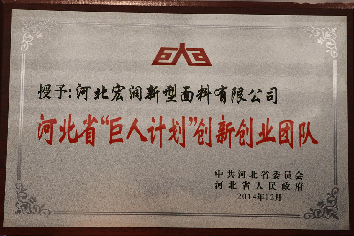 河北省巨人計(jì)劃創(chuàng)新創(chuàng)業(yè)團(tuán)隊(duì)