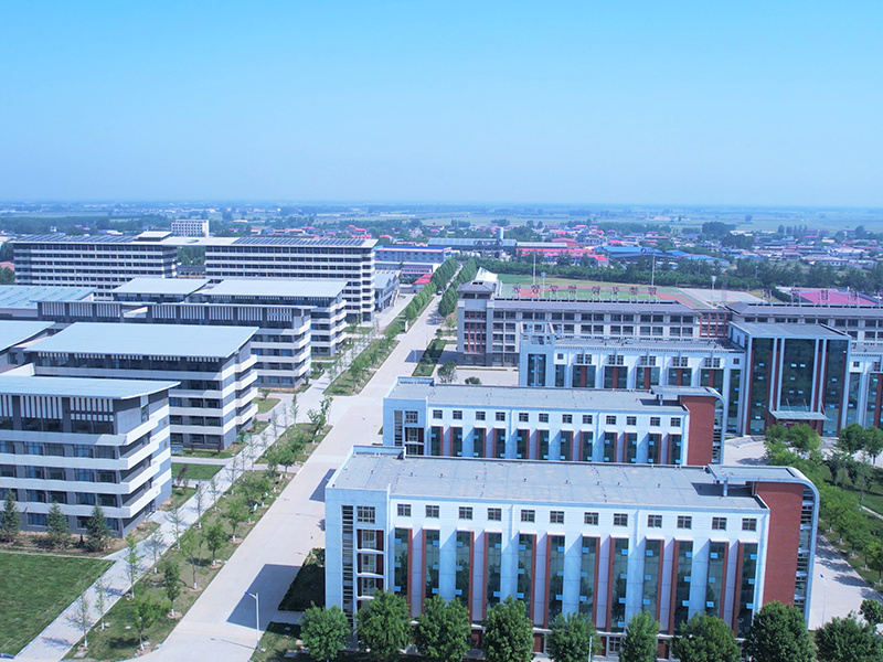 宏利佳學校（6）