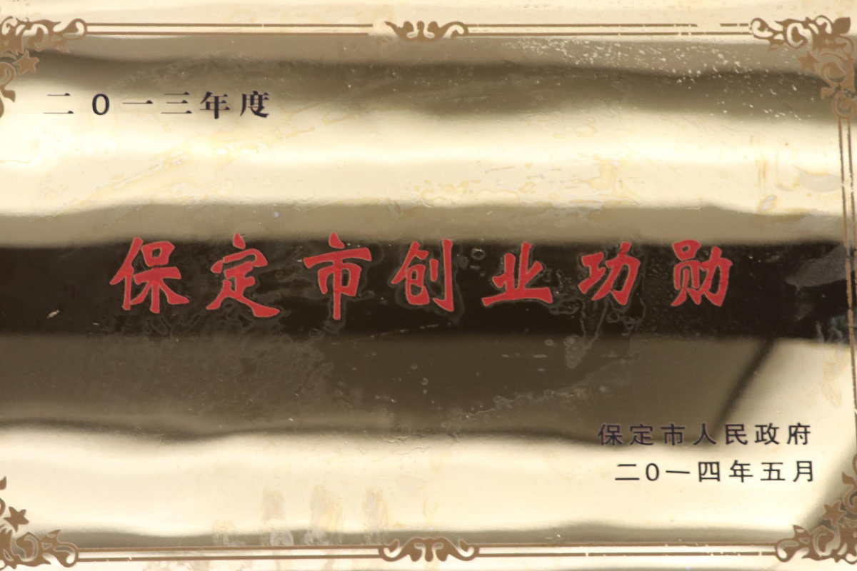 二零一三年度保定市創(chuàng)業(yè)功勛