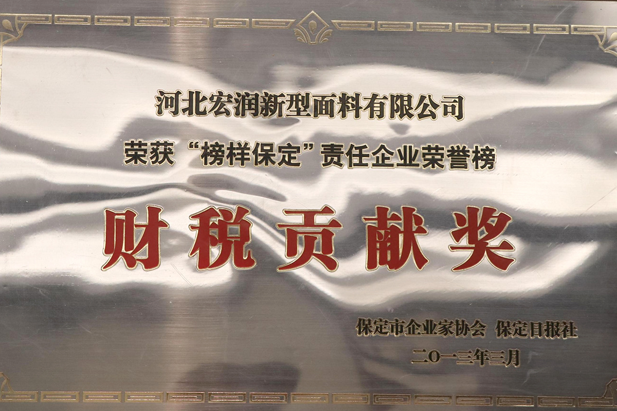 榜樣保定財(cái)稅貢獻(xiàn)獎(jiǎng)