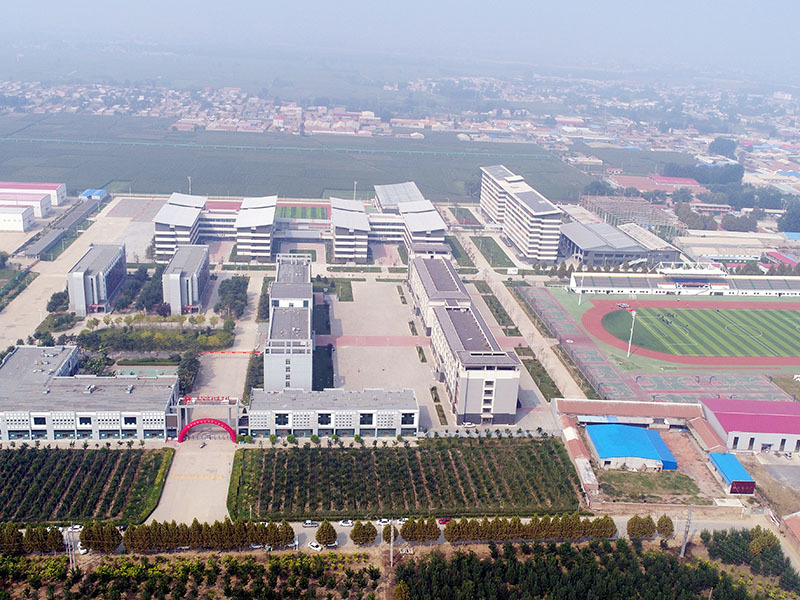 宏利佳學校（11）