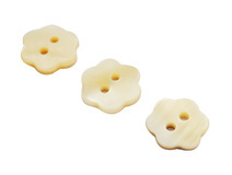Shell Button