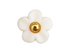 Plastic Injection Button