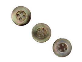Shell Button