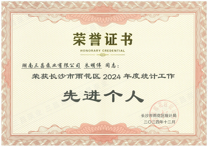 我司朱明伟同志荣获雨花区2024年度统计工作先进个人