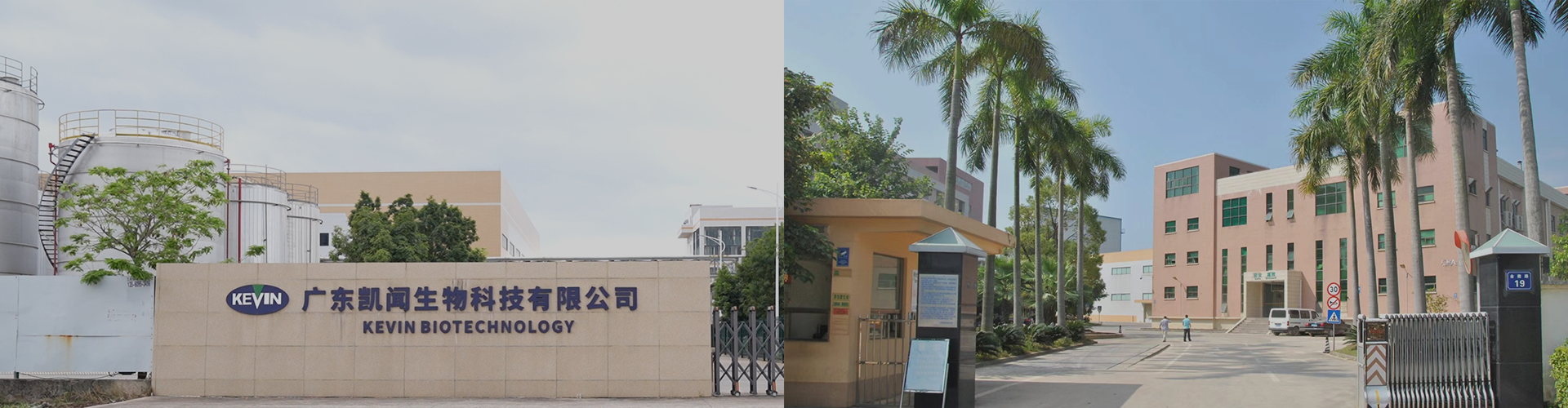 走进凯闻