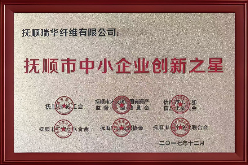 抚顺市中小企业创新之星
