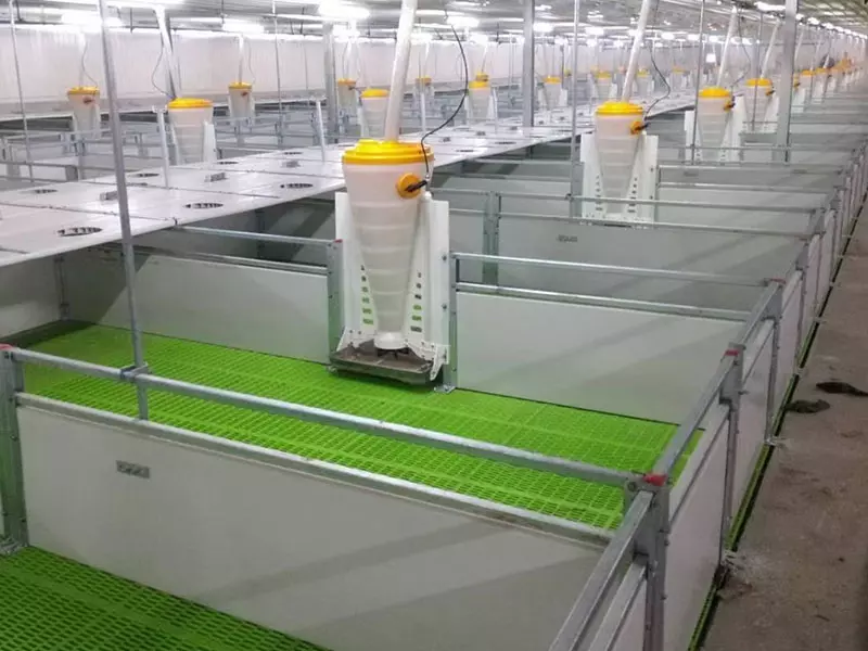 Pig Equipment