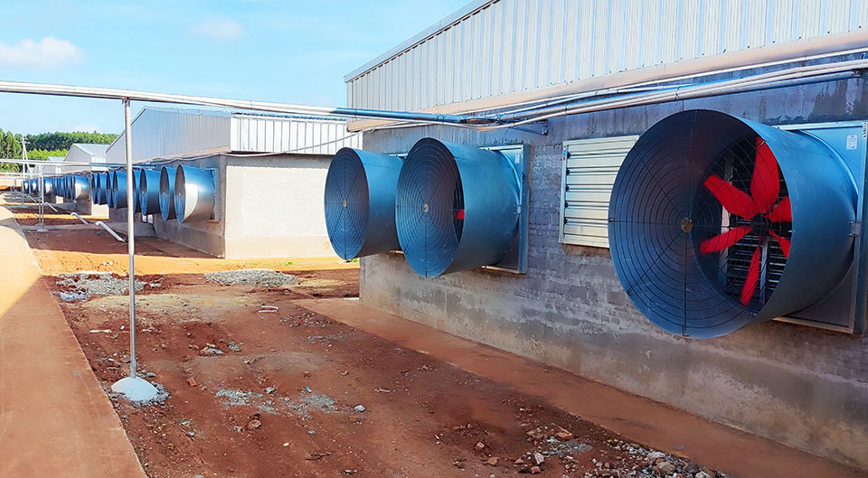 Common knowledge of using and maintaining fans