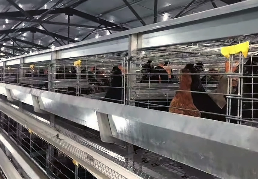 Layer Cage