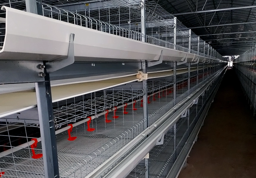 Broiler Cage