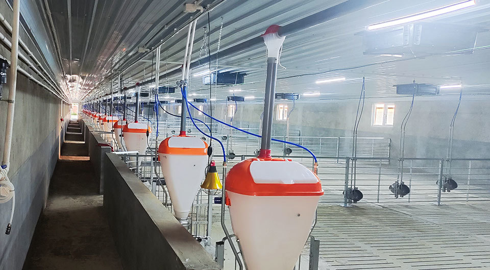 Real case demonstration of customers using fans