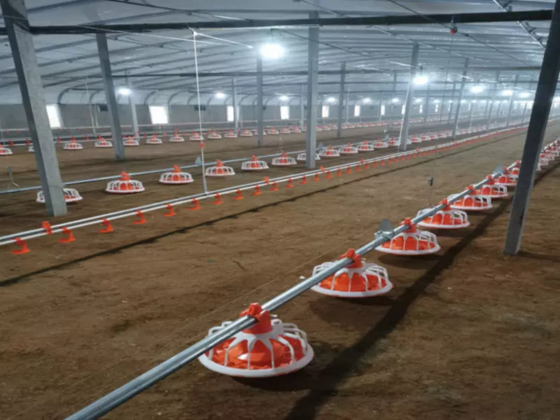 Broiler Floor Equipment