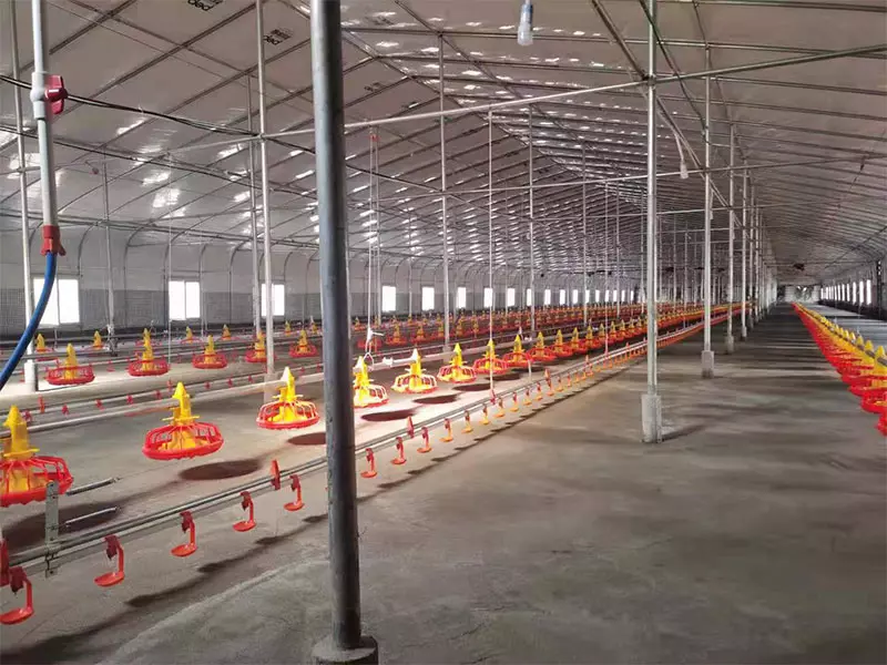 Broiler Floor Equipment