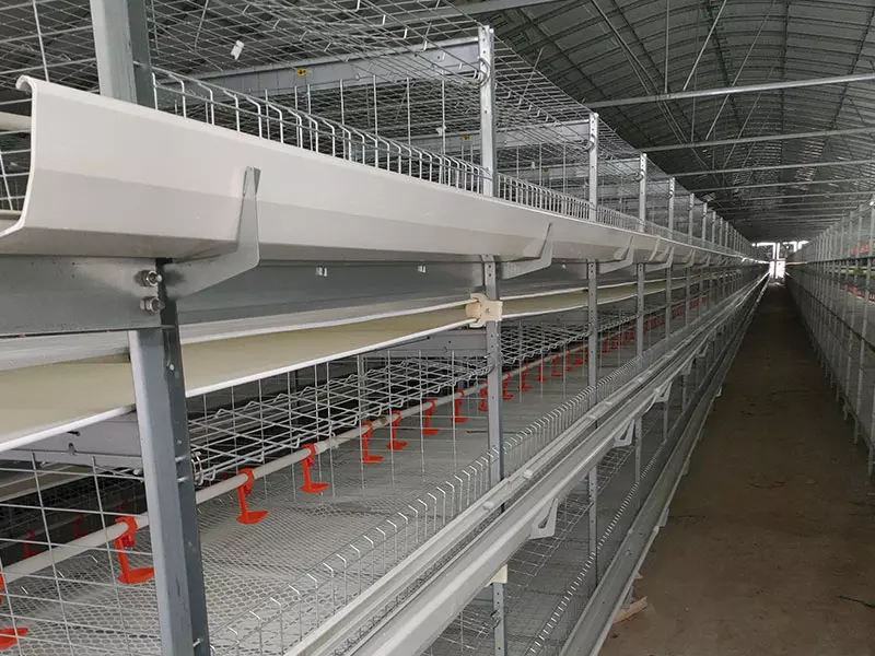 Broiler Cage