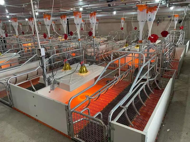 Pig Equipment