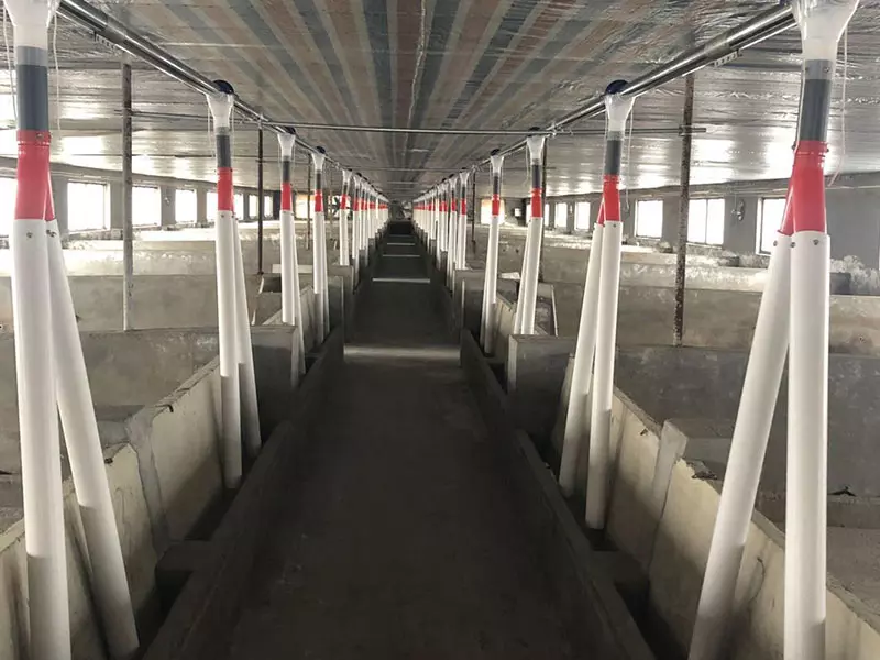Feeding System
