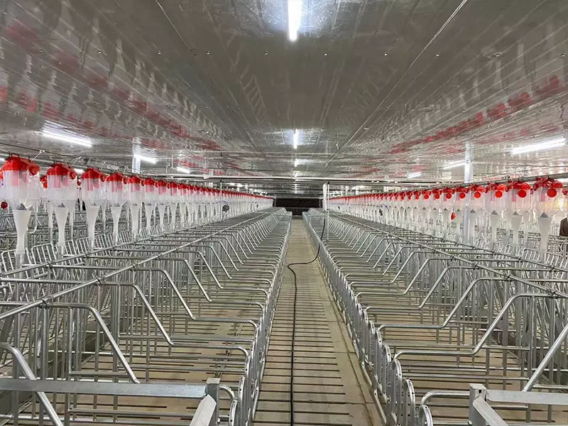 Pig Equipment