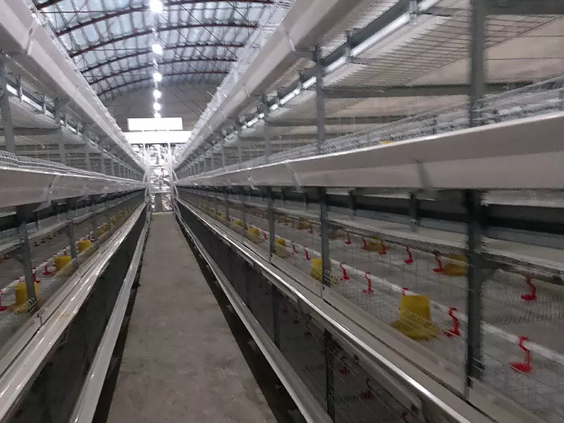 Broiler Cage