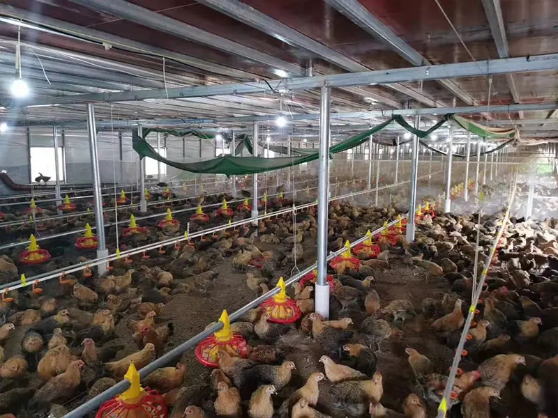 Broiler Floor Equipment