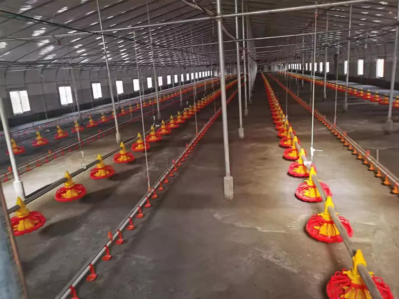 Broiler Floor Equipment