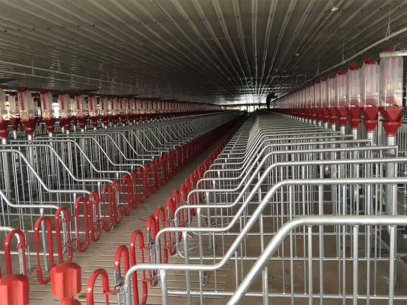 Pig Equipment