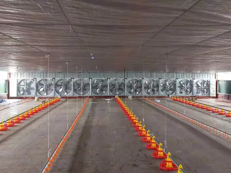 Broiler Floor Equipment