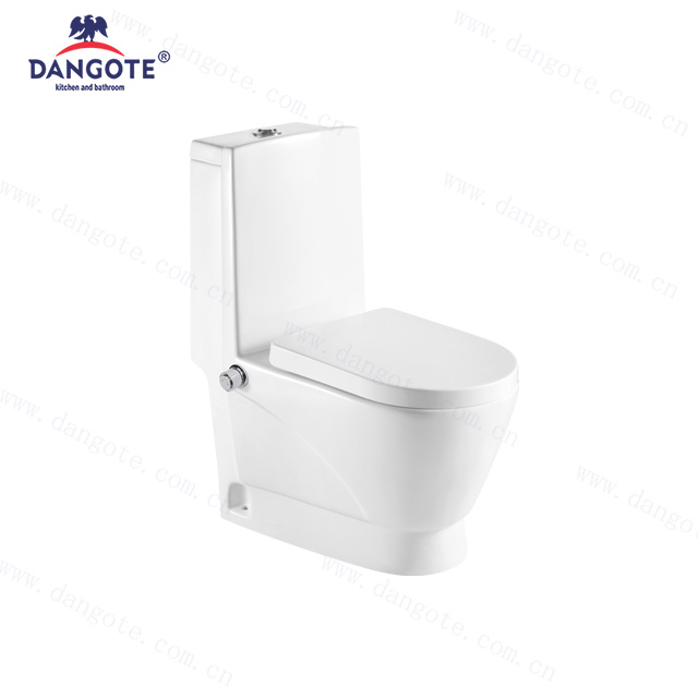 DR-1013 with Bidet washdown one piece toilet