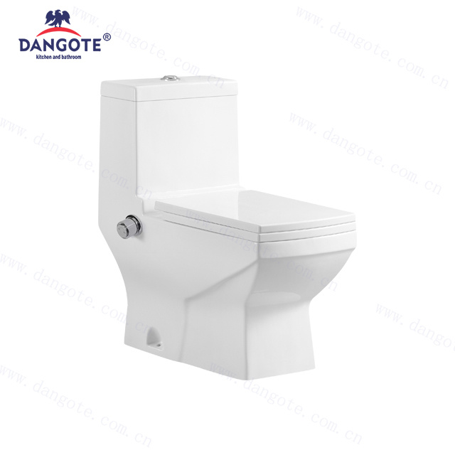 DR-1026 with Bidet washdown one piece toilet