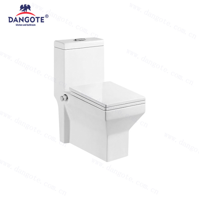 DR-1105 with Bidet