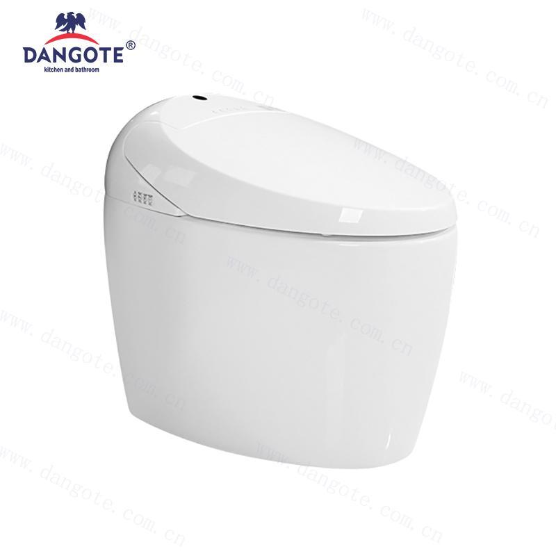 TO-1001 Intelligent Toilet