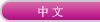 中文