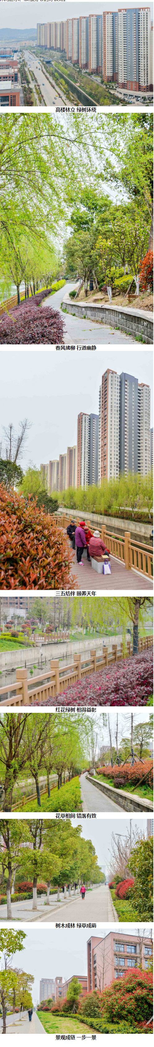 【項(xiàng)目簡(jiǎn)訊】丁家莊經(jīng)濟(jì)適用房住房項(xiàng)目03、06地塊景觀綠化工程
