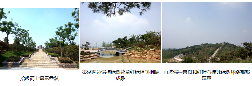 【項目簡訊】禹王山抗日阻擊戰(zhàn)遺址修建工程基本完工