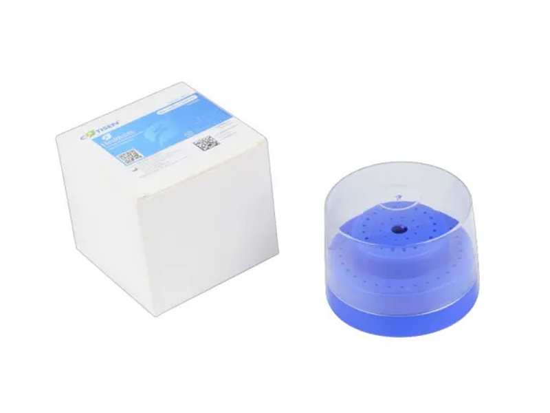Bur Holder Box