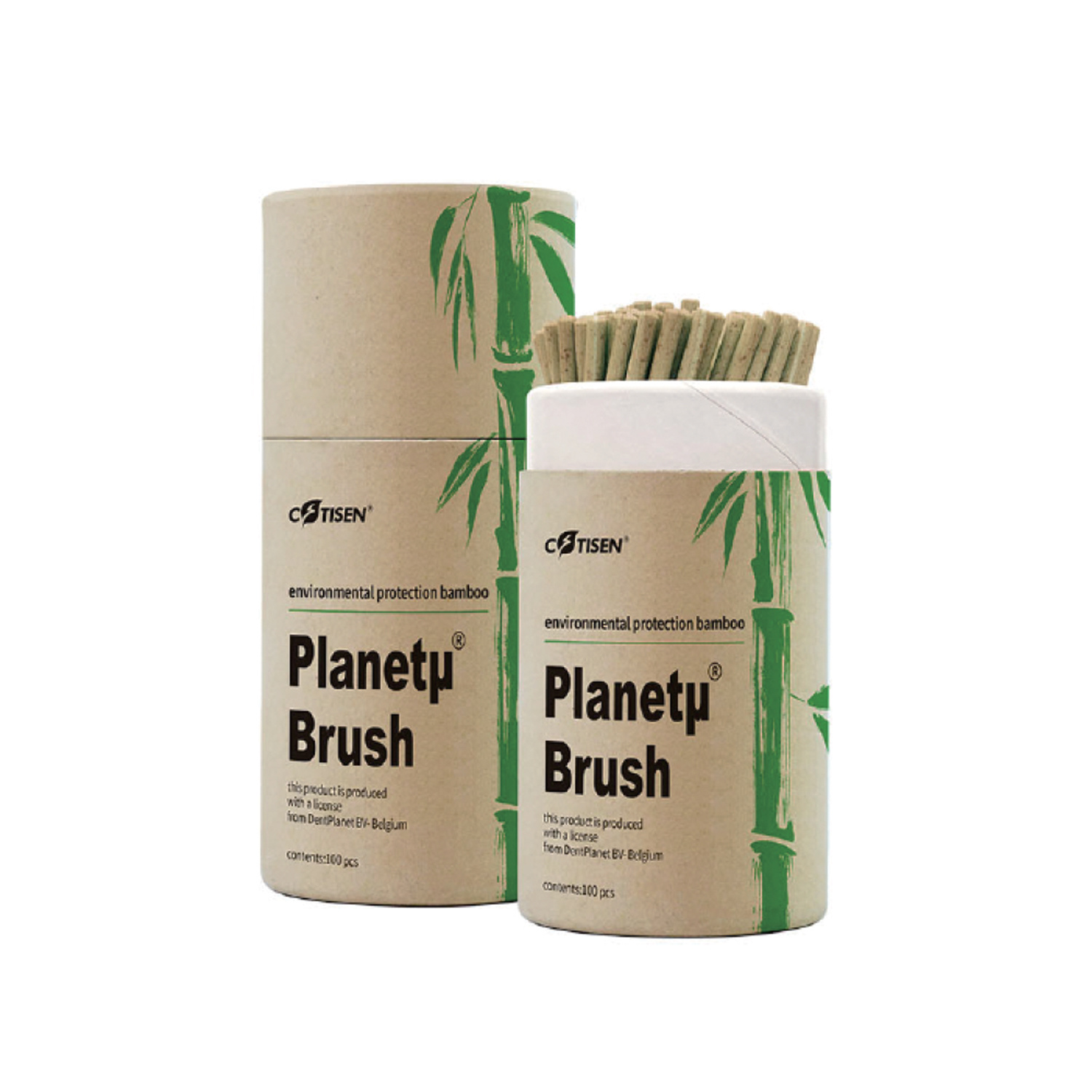 Gingival brushes