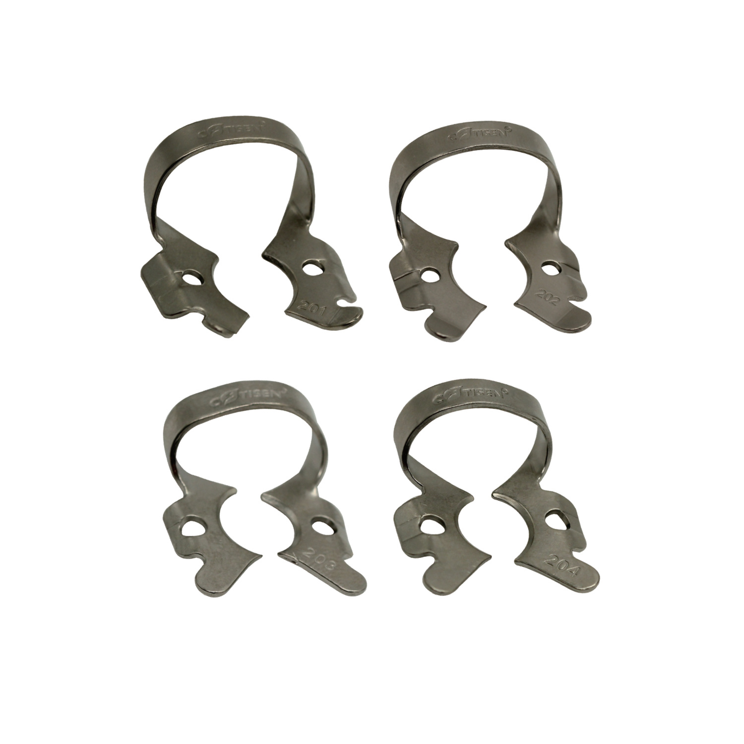 Clamp (Molar)